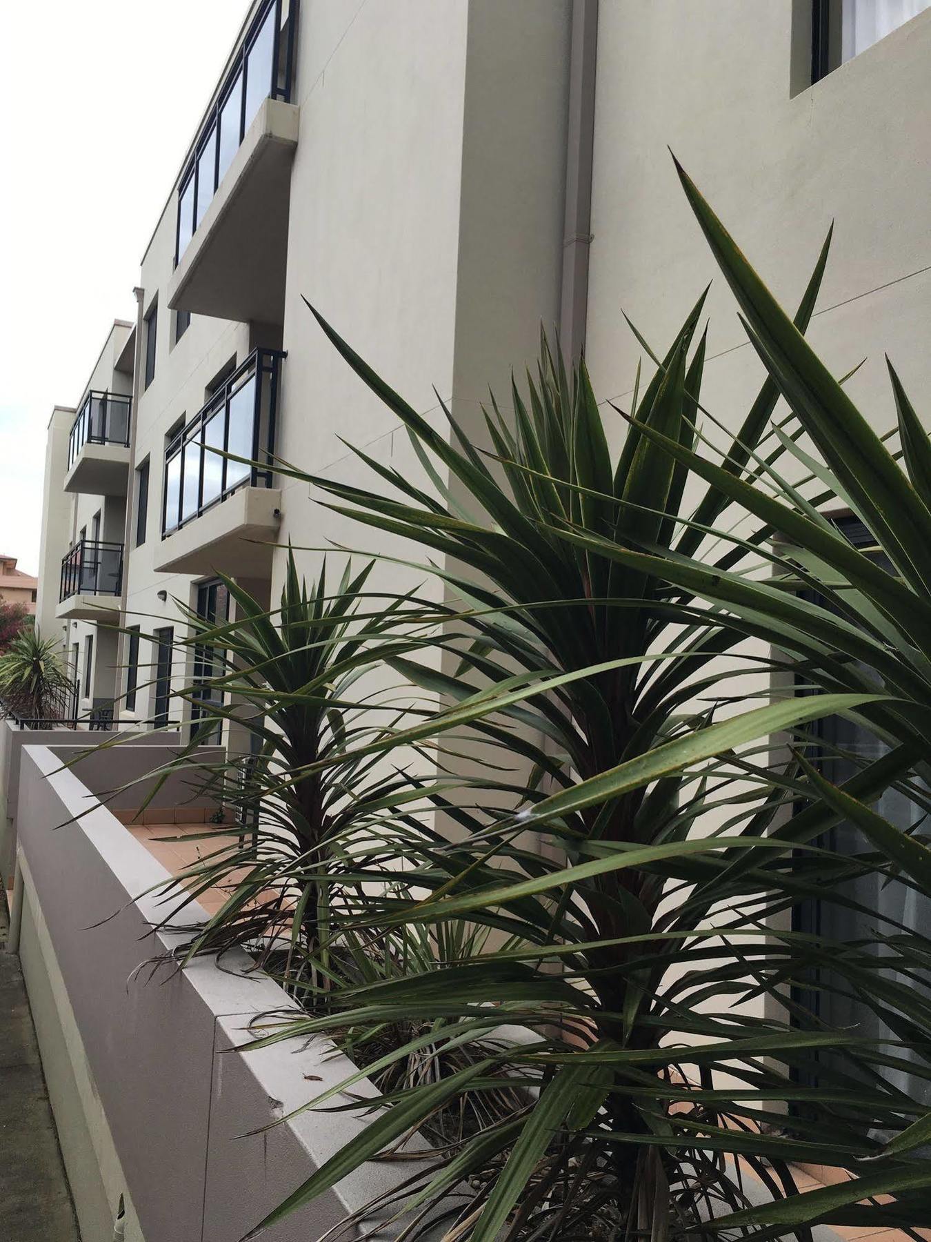 Wollongong Serviced Apartments Ngoại thất bức ảnh